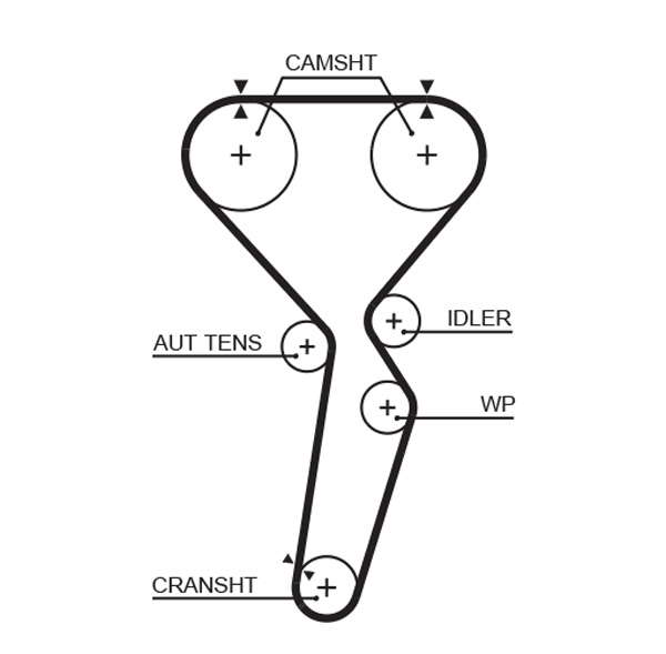 COURROIE DISTRIBUTION