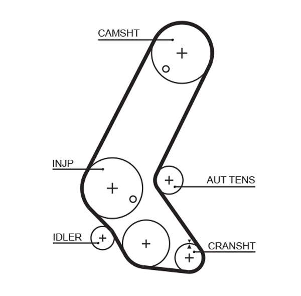 COURROIE DISTRIBUTION