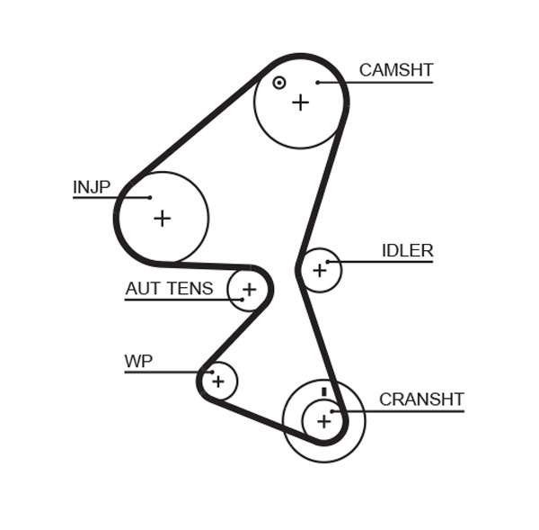 COURROIE DISTRIBUTION