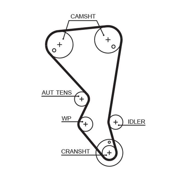 COURROIE DISTRIBUTION