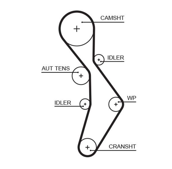 COURROIE DISTRIBUTION