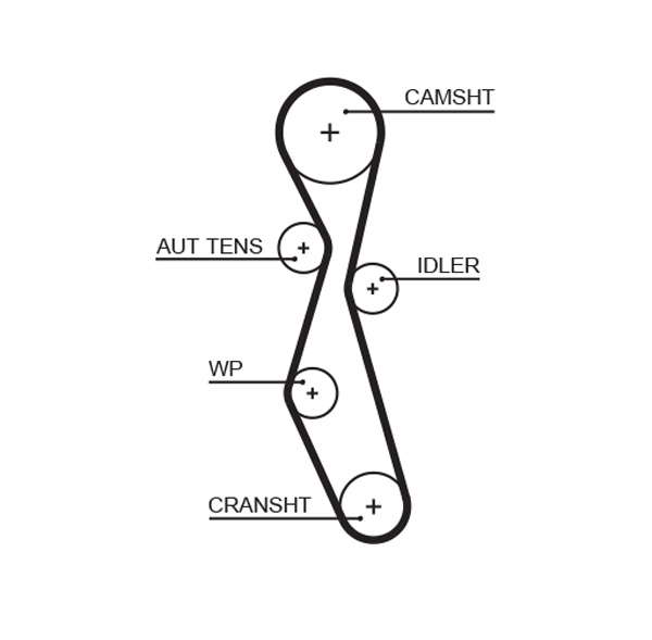 COURROIE DISTRIBUTION