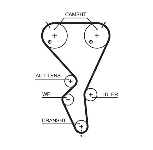 COURROIE DISTRIBUTION