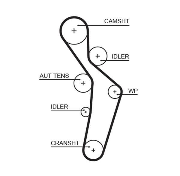 COURROIE DISTRIBUTION