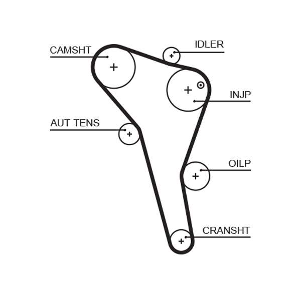 COURROIE DISTRIBUTION
