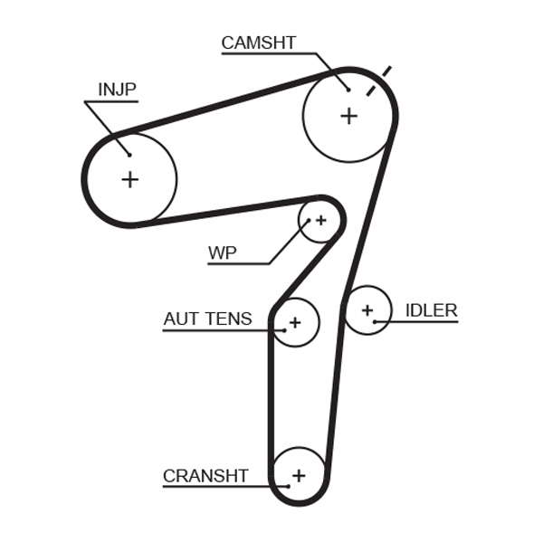 COURROIE DISTRIBUTION