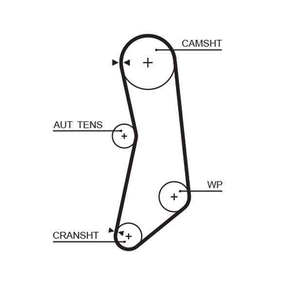 COURROIE DISTRIBUTION