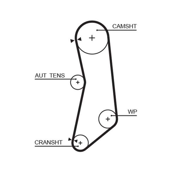 COURROIE DISTRIBUTION