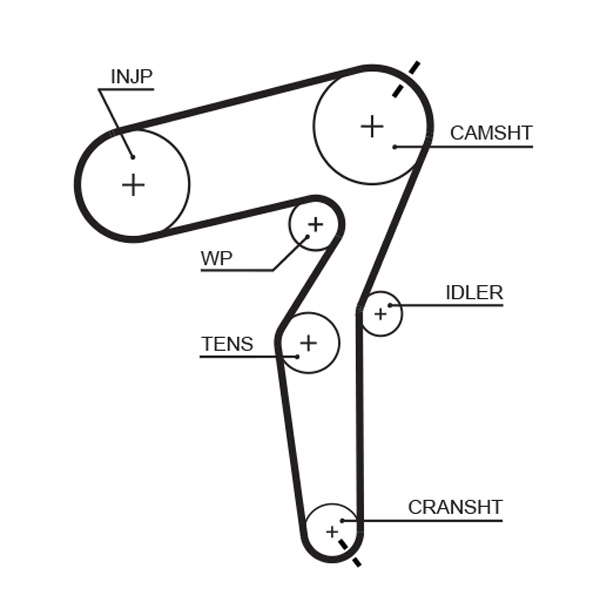 COURROIE DISTRIBUTION