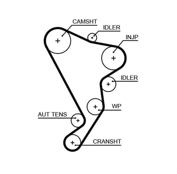 COURROIE DISTRIBUTION