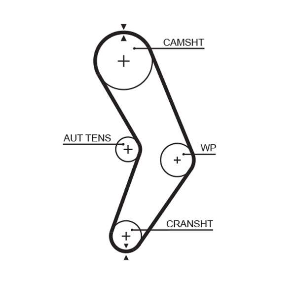 COURROIE DISTRIBUTION