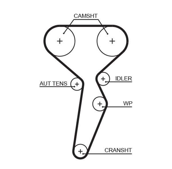 COURROIE DISTRIBUTION