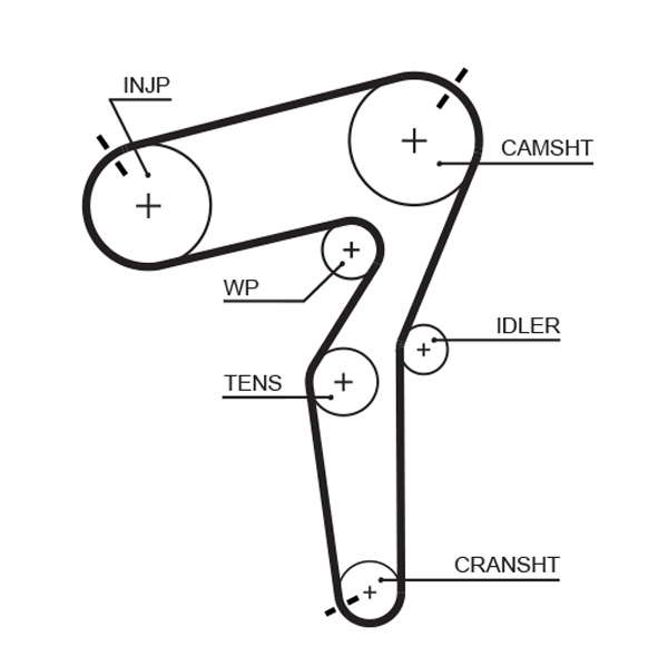 COURROIE DISTRIBUTION