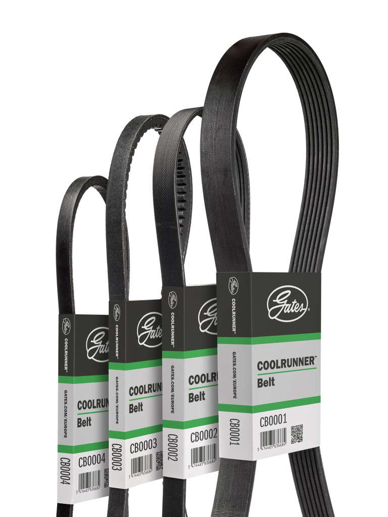 COURROIE COOL RUNNER