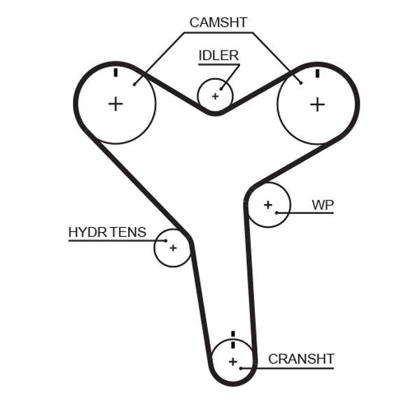 COURROIE DISTRIBUTION