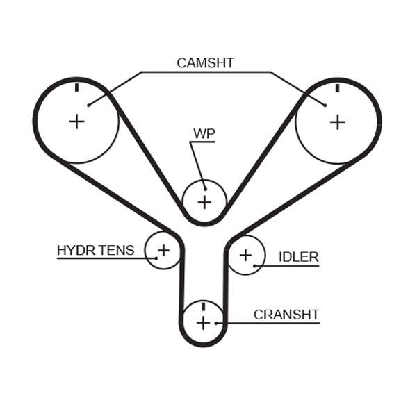 COURROIE DISTRIBUTION
