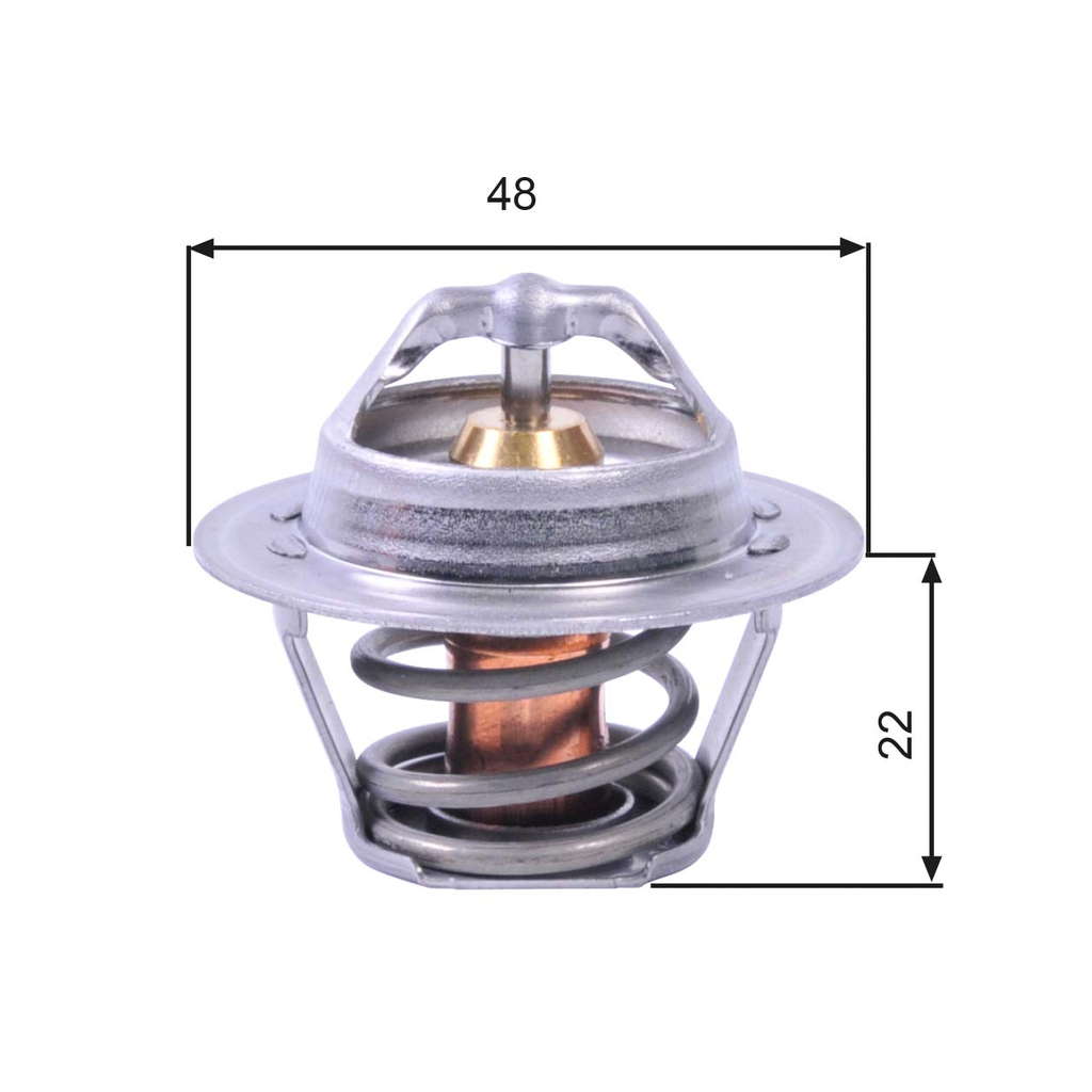 THERMOSTAT