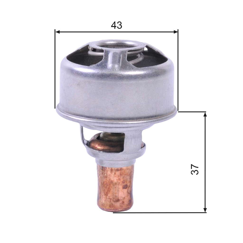 THERMOSTAT