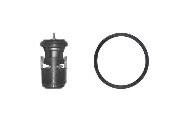 THERMOSTAT