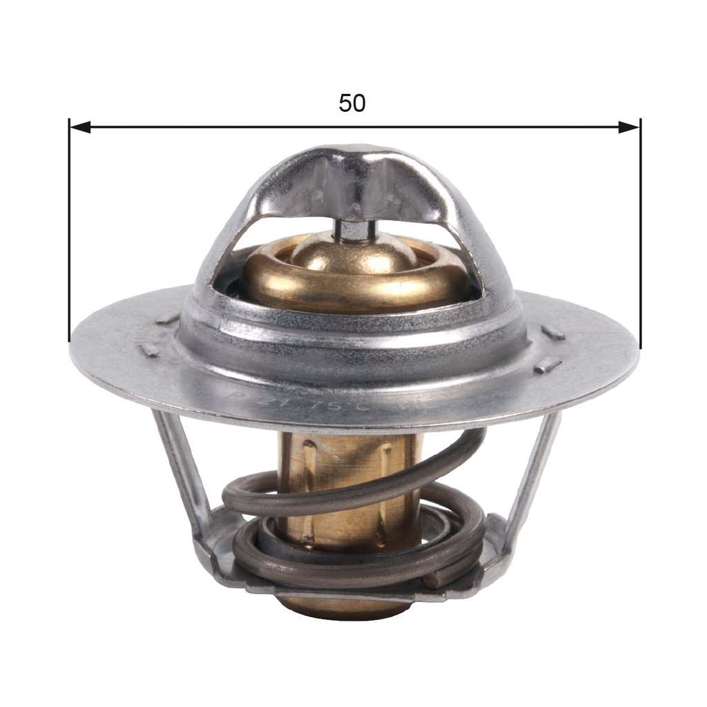 THERMOSTAT