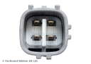 ADBP700053_3