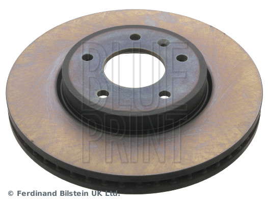 DISQUE FREIN AV DIAM 295    X1