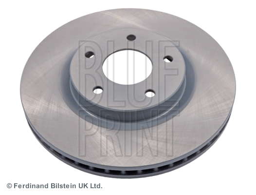 DISQUE FREIN AV DIAM 295    X1