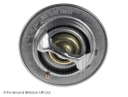 ADN19228_2
