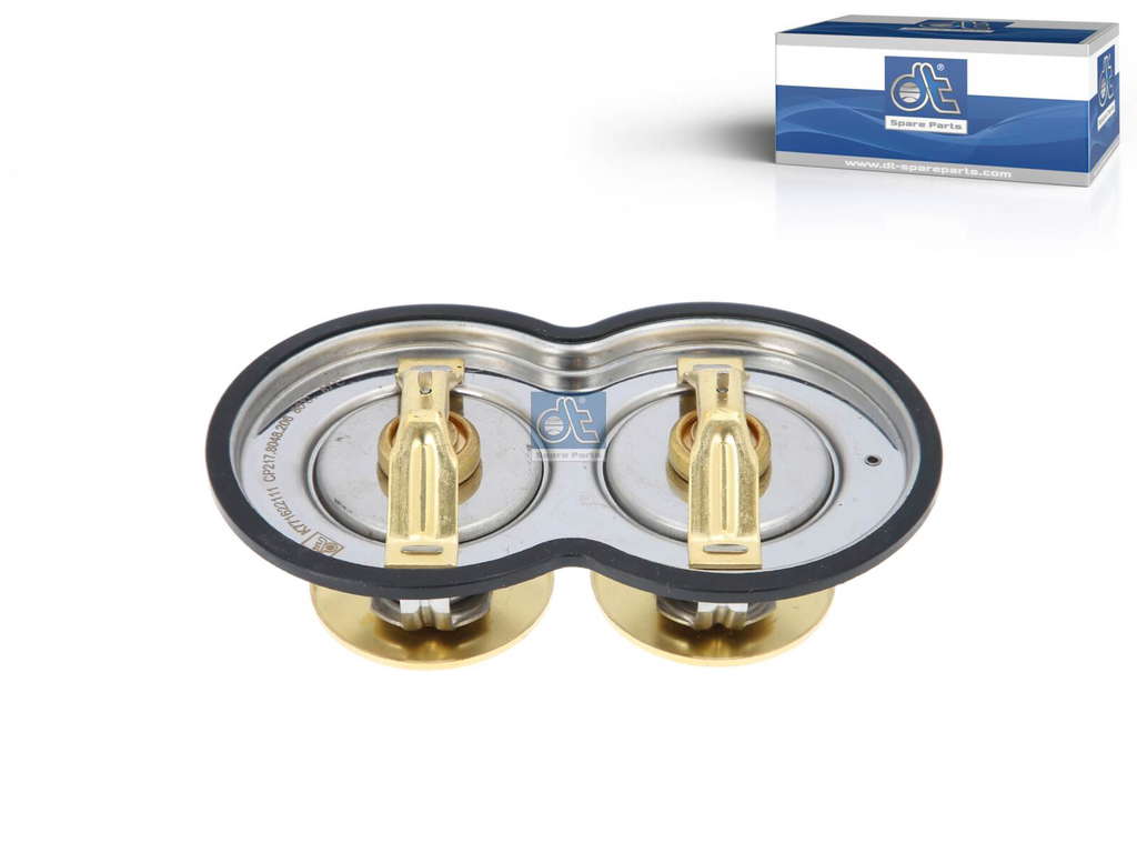 Thermostat d'eau