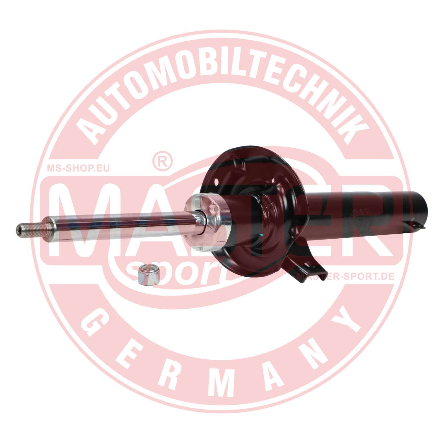 315091-PCS-MS (1)