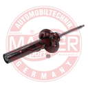 315091-PCS-MS (2)