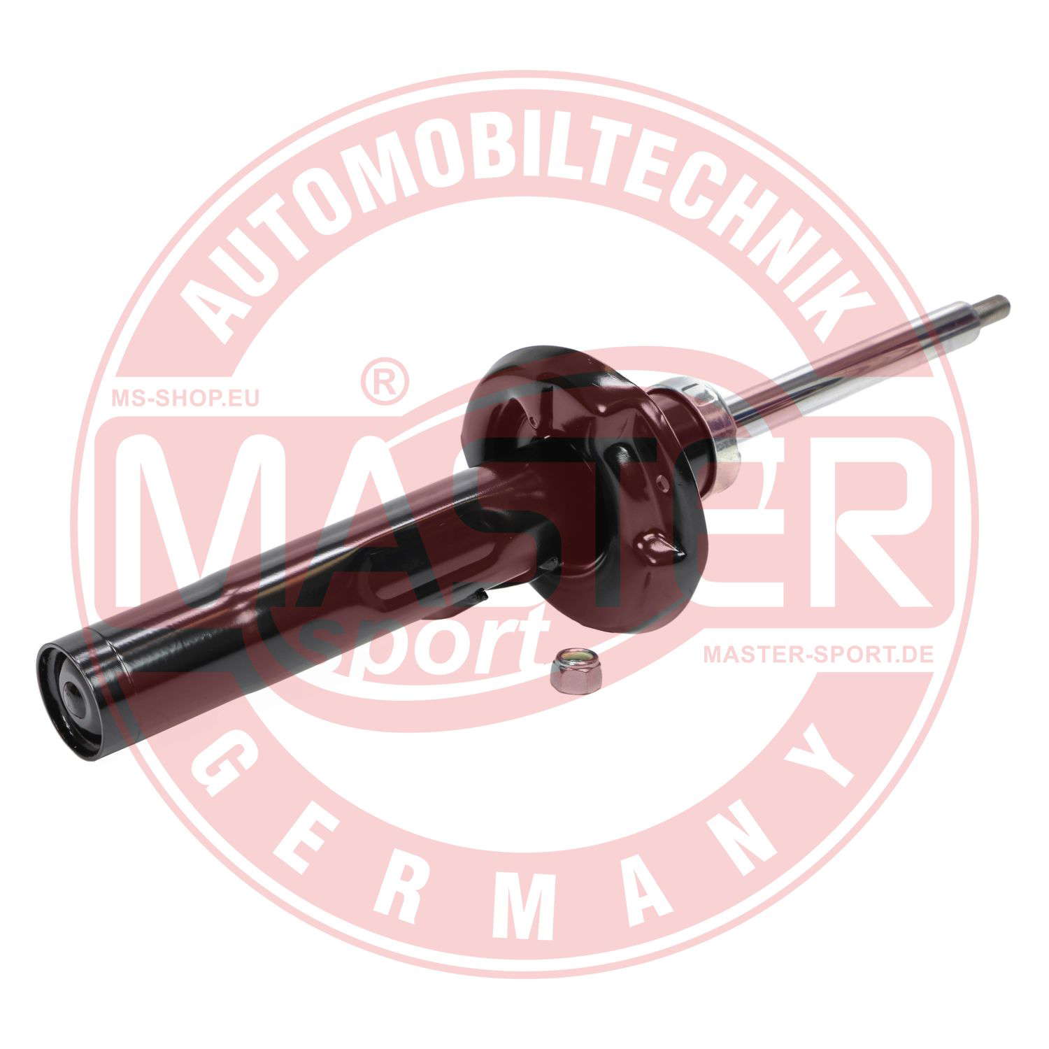 315091-PCS-MS (2)
