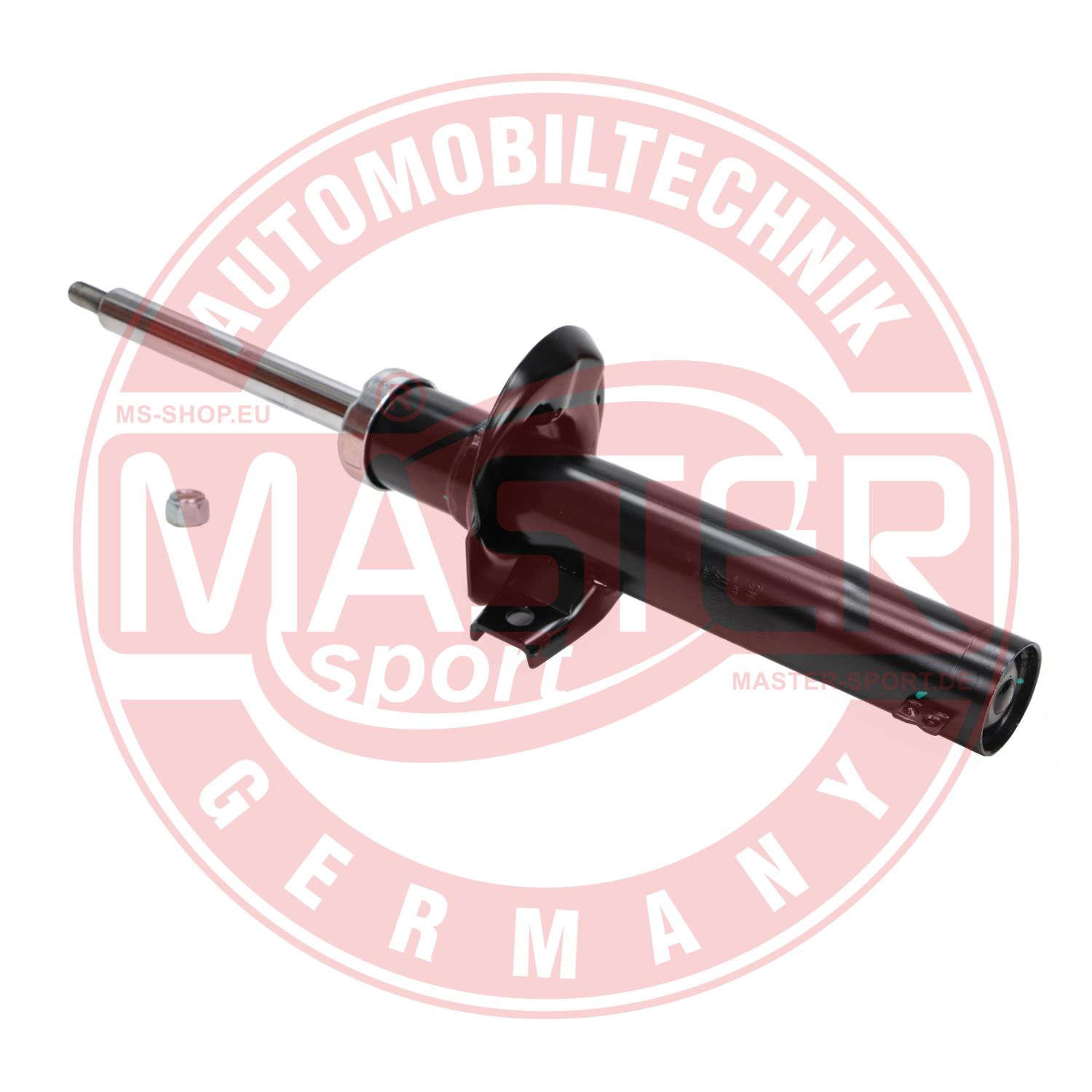 315091-PCS-MS (3)