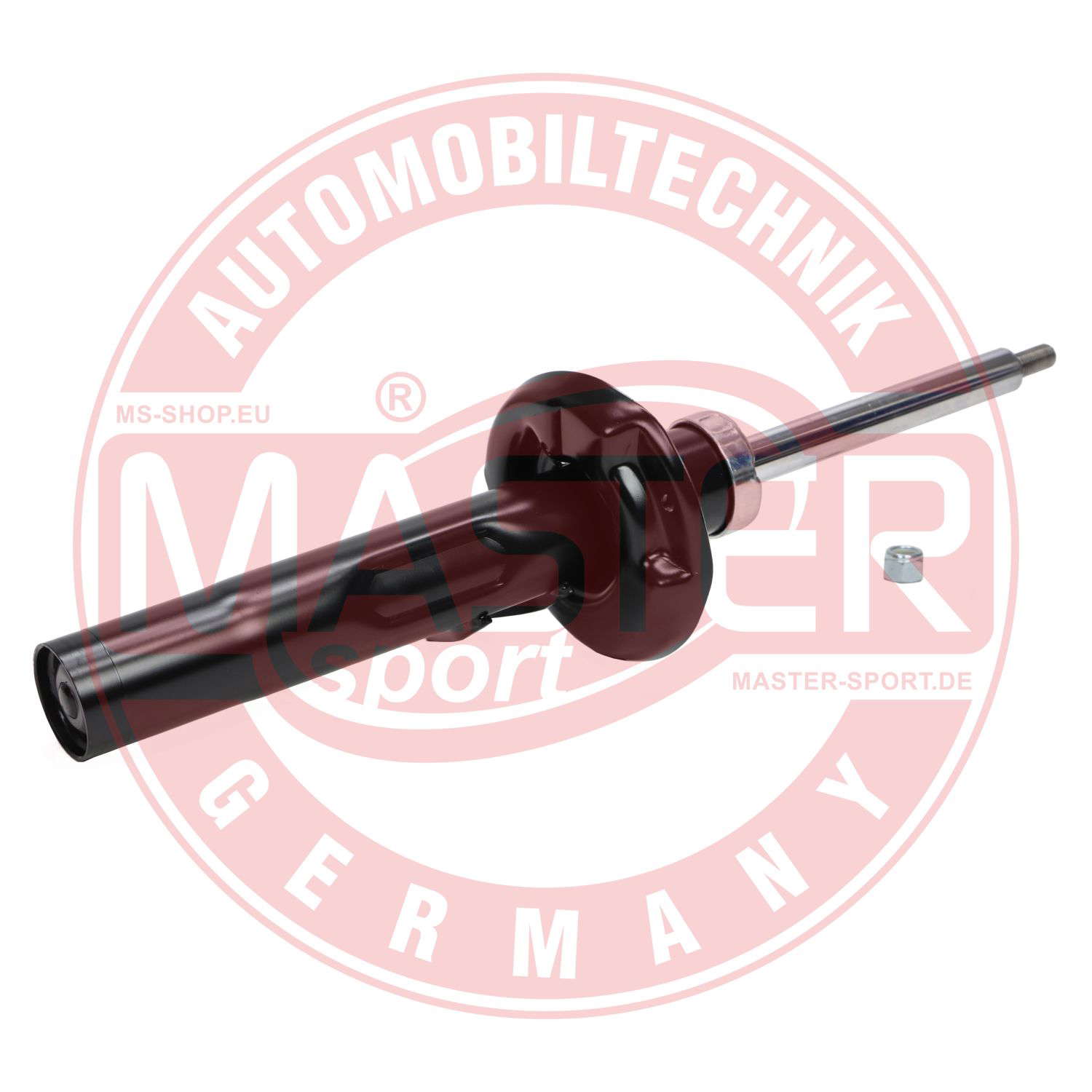 315091-PCS-MS (4)