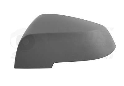Coque rétroviseur