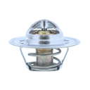 Thermostat d'eau