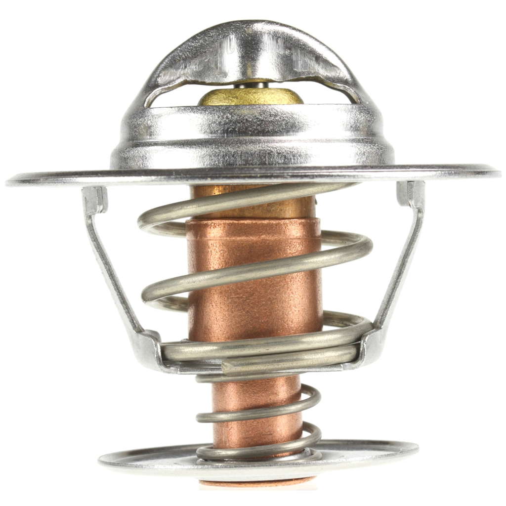 Thermostat d'eau