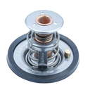 Thermostat d'eau