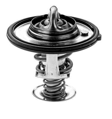 Thermostat d'eau