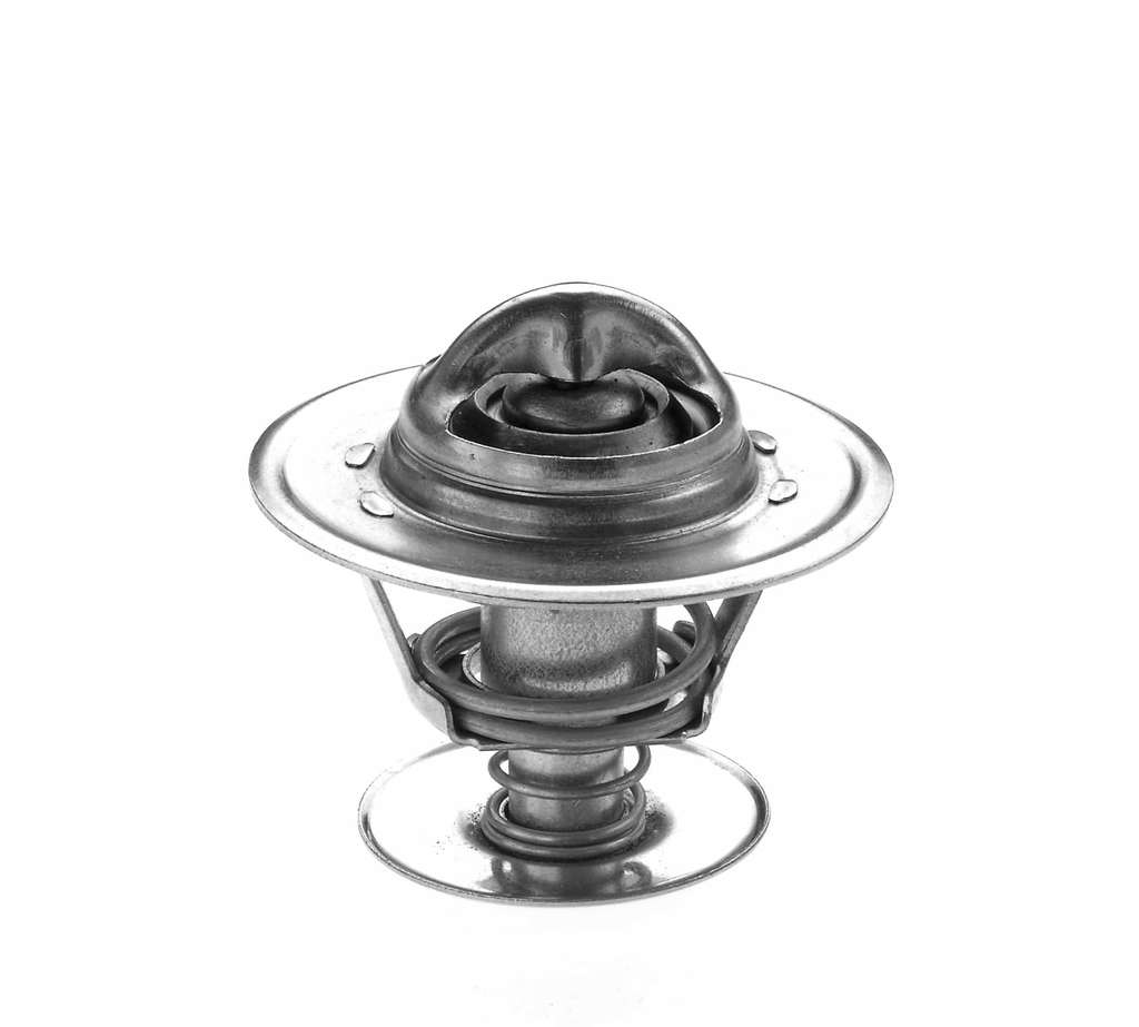 Thermostat d'eau