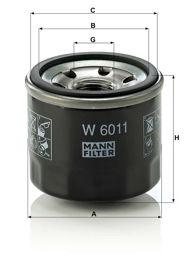 W_6011-DIM