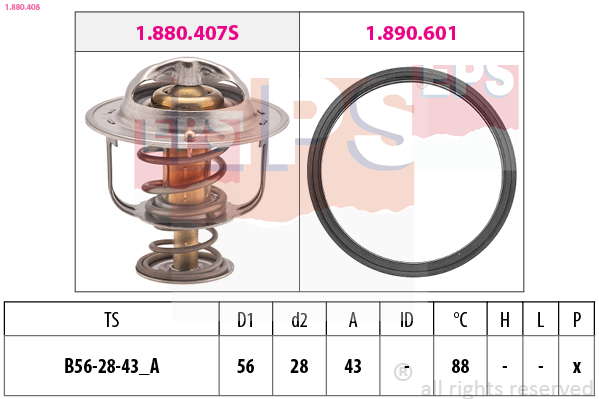 Thermostat d'eau