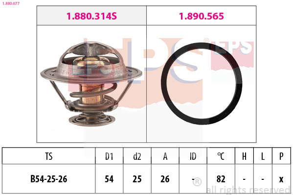 Thermostat d'eau