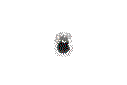 402310697