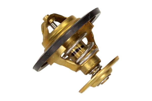 Thermostat d'eau