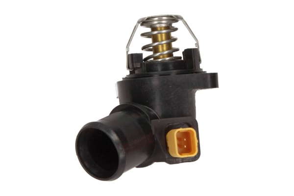 Thermostat d'eau