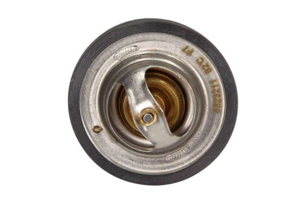 Thermostat d'eau