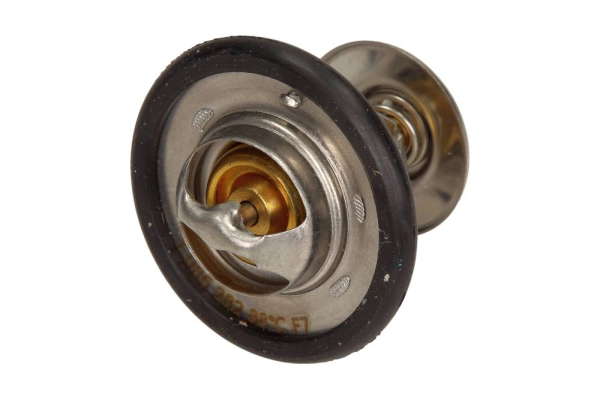 Thermostat d'eau