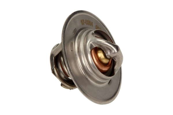 Thermostat d'eau
