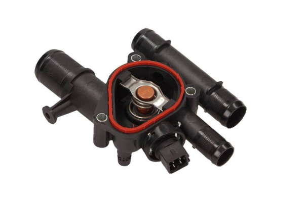 Thermostat d'eau
